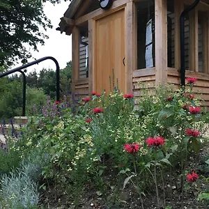 South Downs Eco Lodge & Camping