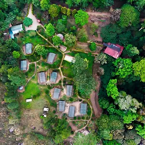 Nature Zone Munnar - A Real Jungle Resort - Authentic Tree House And Premium Tents