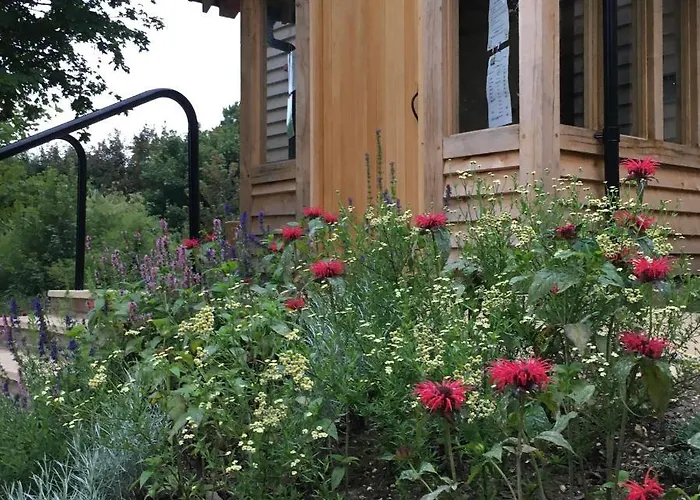 South Downs Eco Lodge & Camping