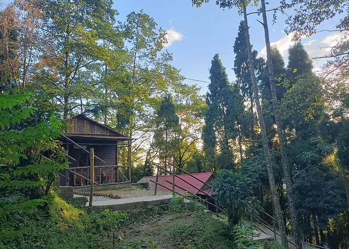 Orion Retreat