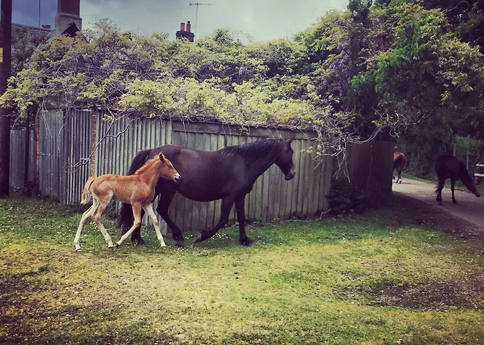 Belle Vue Farm B&B