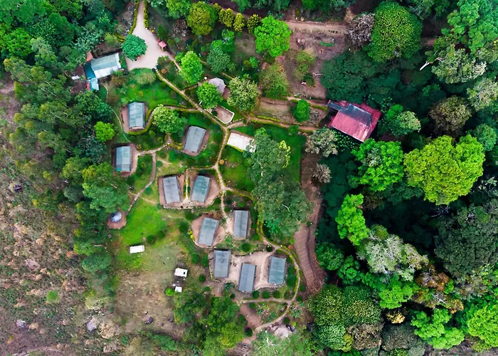 Nature Zone Munnar - A Real Jungle Resort - Authentic Tree House And Premium Tents