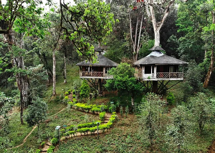 Nature Zone Munnar - A Real Jungle Resort - Authentic Tree House And Premium Tents