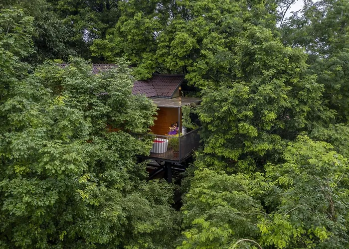 Crystal Kuruva Nature Resort & Spa