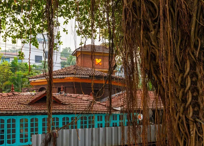 Madpackers Goa Anjuna - Bar