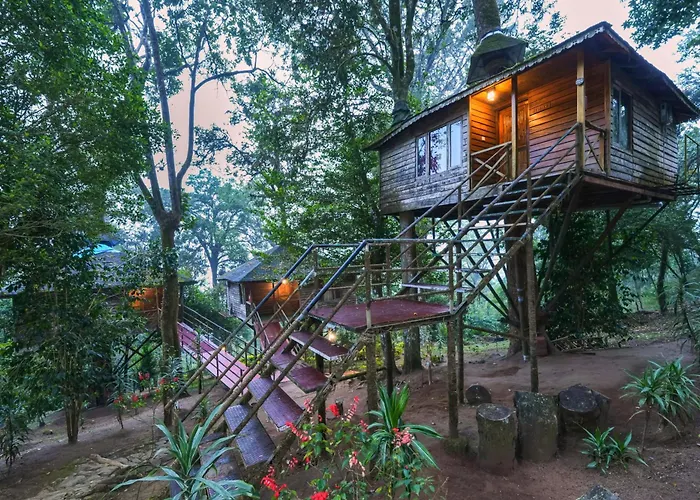 Nature Zone Munnar - A Real Jungle Resort - Authentic Tree House And Premium Tents