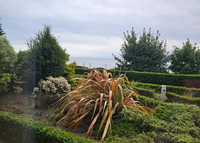 The Bay Hotel