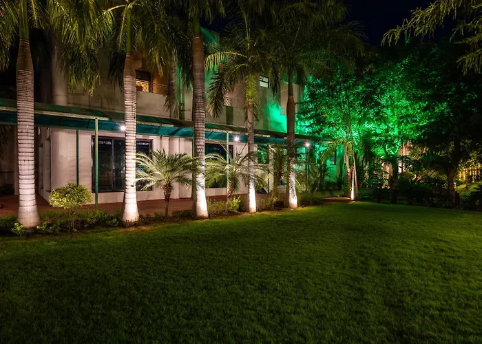 Nine Palms