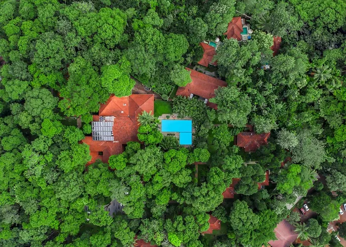 Greenwoods Thekkady - A Five Star Classified Resort