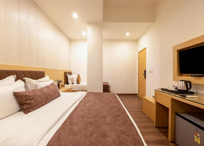 Hotel Tashree Near T3 - Free Airport Drop
