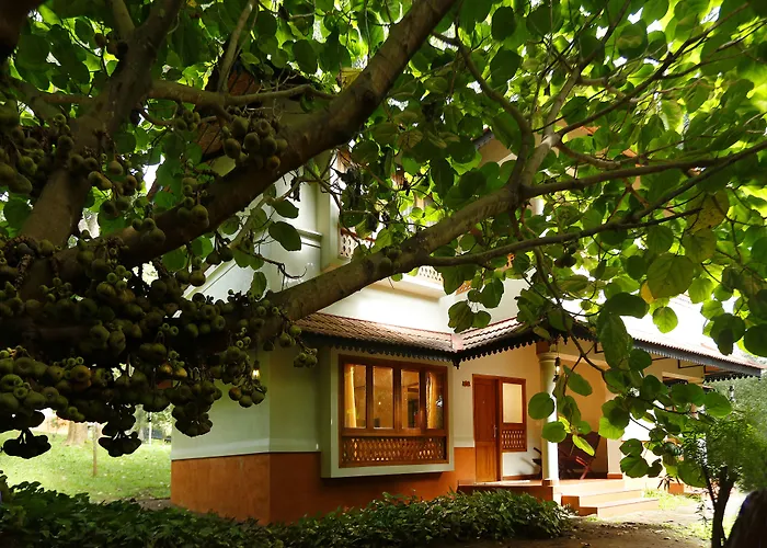 Greenwoods Thekkady - A Five Star Classified Resort