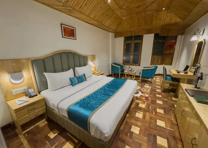 Bravia Hotel Manali Inn