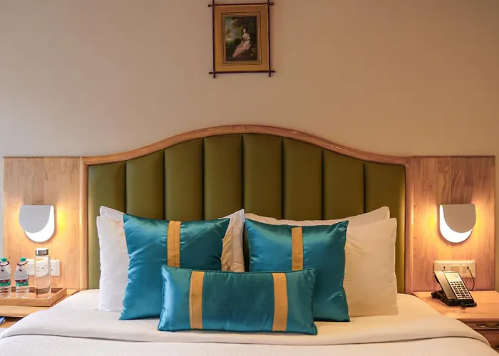 Bravia Hotel Manali Inn