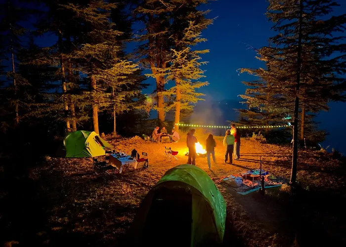 Club Mahindra Pristine Peaks Naldehra