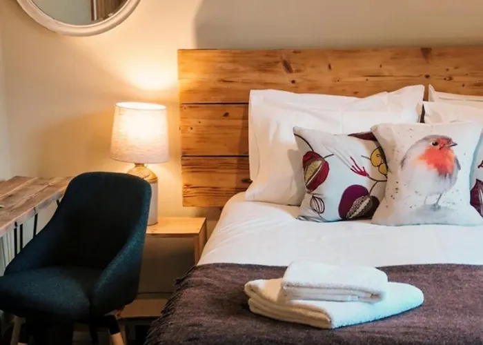 South Downs Eco Lodge & Camping