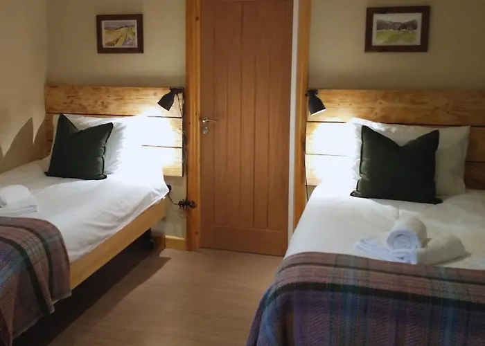South Downs Eco Lodge & Camping