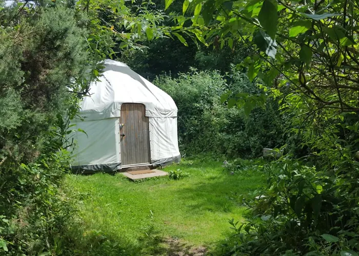 South Downs Eco Lodge & Camping