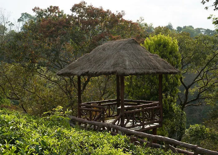 Eterno Camellia & Elettaria Luxury Resort Munnar