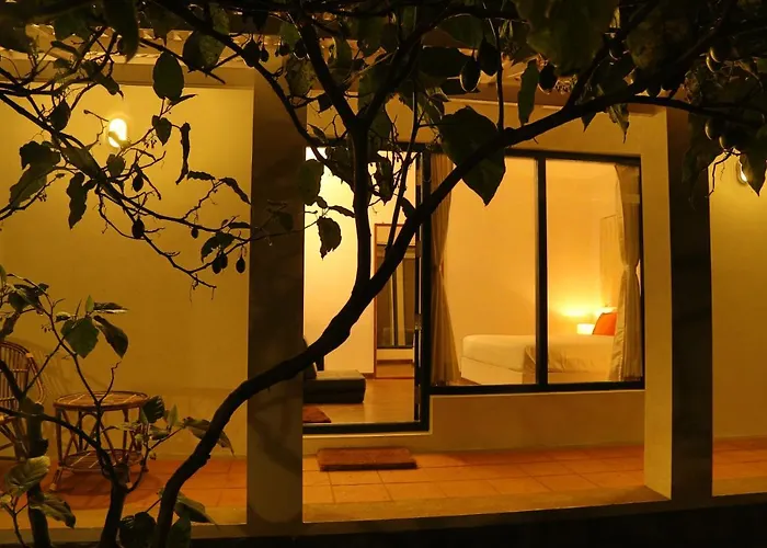 The Tamarillo