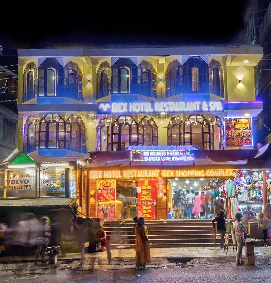 10 Spa Hotels Near Hidimba Devi Temple Worth Booking in Manali