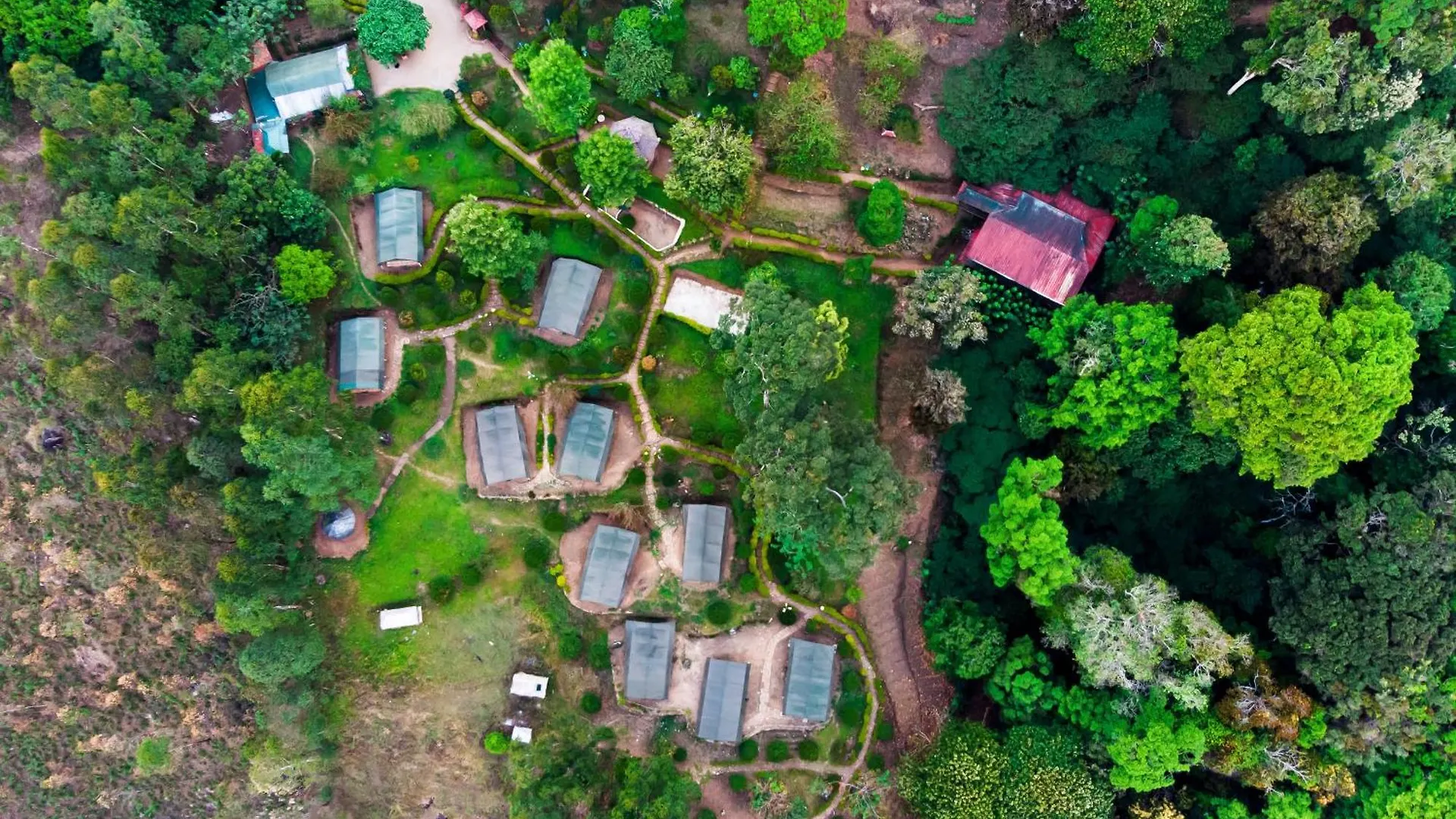 Staying Near Mattupetty Dam: 5 Munnar Hotels Compared