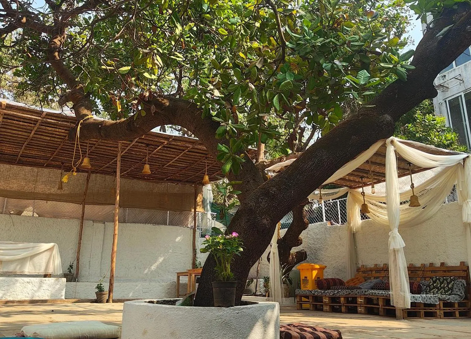 Near Casino Palms: 15 Budget Hotels in Calangute Compared