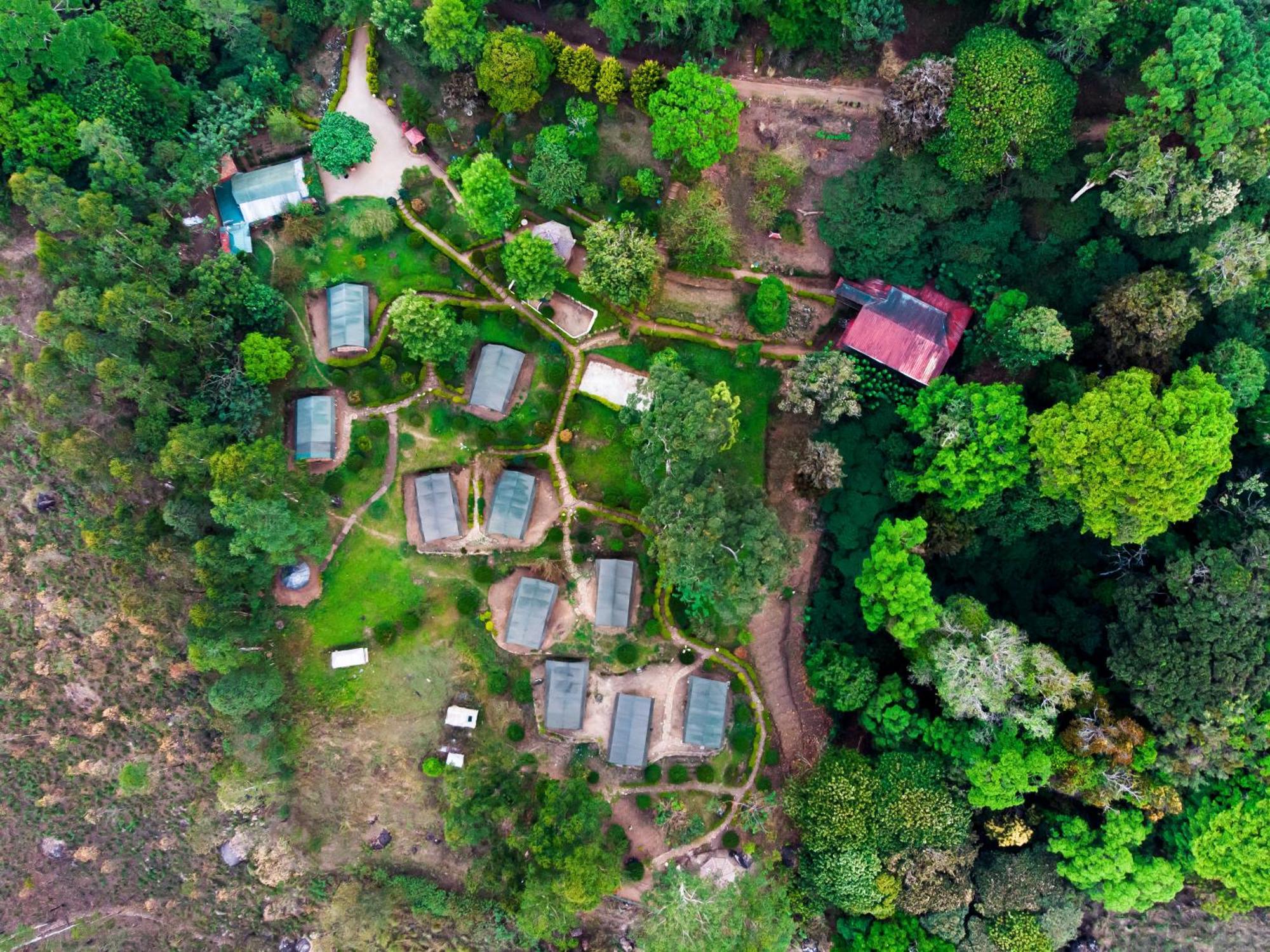 Staying Near Mattupetty Dam: 5 Munnar Hotels Compared