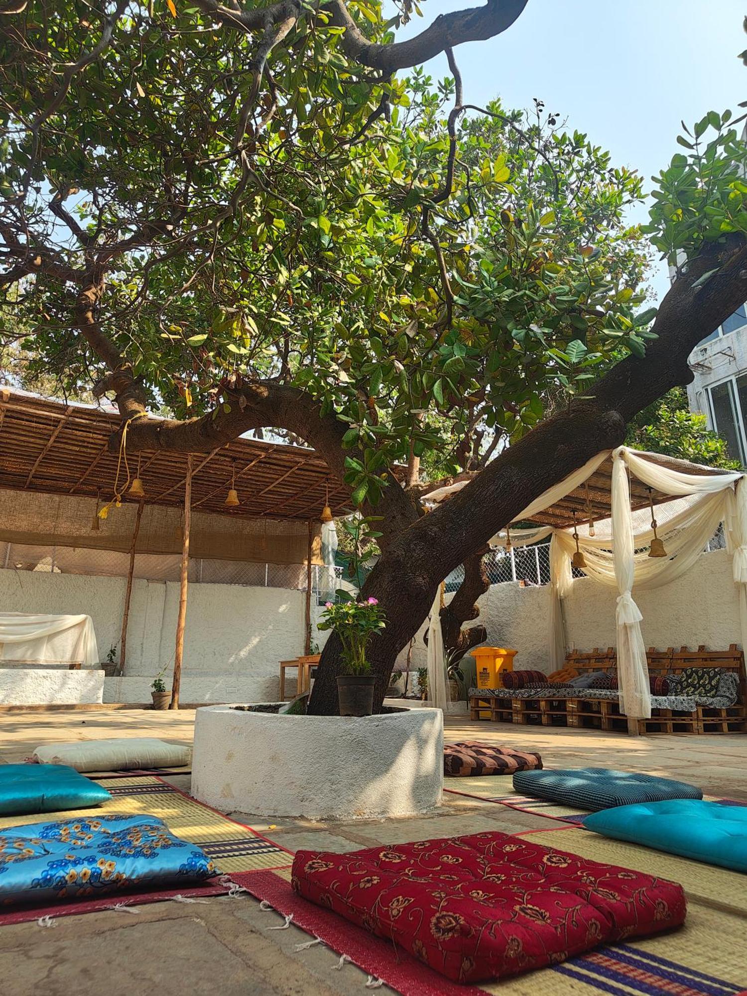Near Casino Palms: 15 Budget Hotels in Calangute Compared
